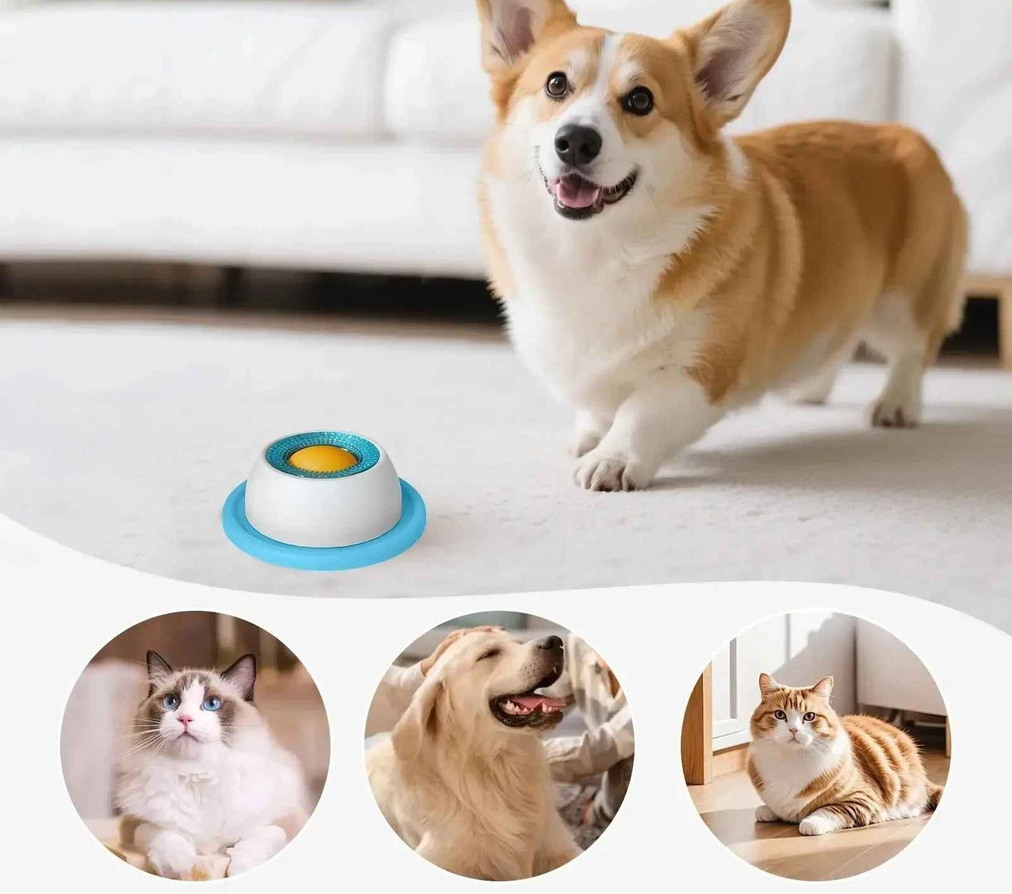 Interaktywna miska do lizania