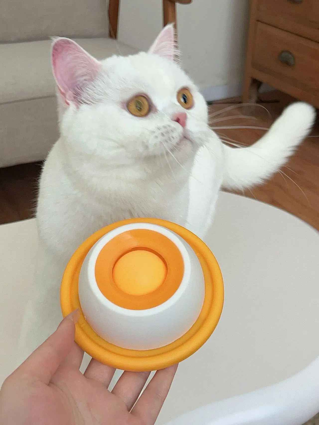 Interaktywna miska do lizania